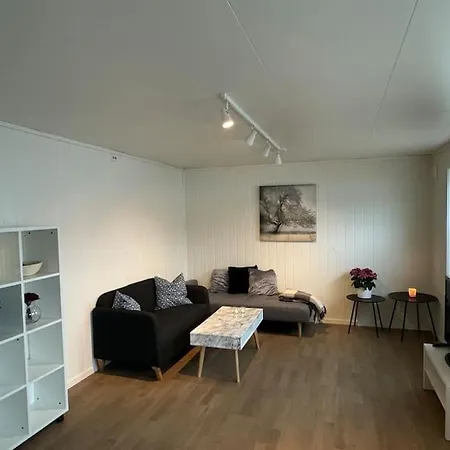 Fin I Norrona-feltet * Tromsø